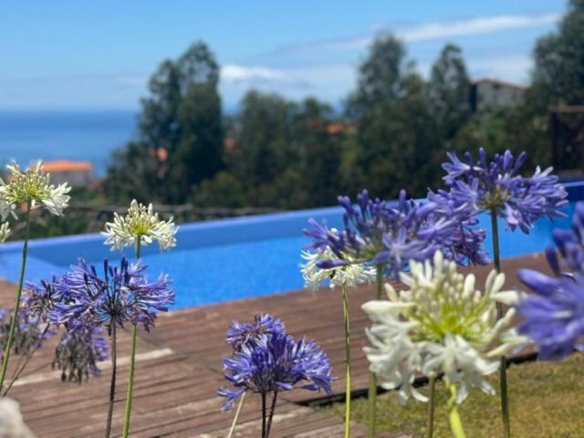 Modular Calheta (Madeira) Exterior foto