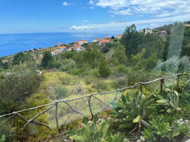 Modular Calheta (Madeira) Exterior foto
