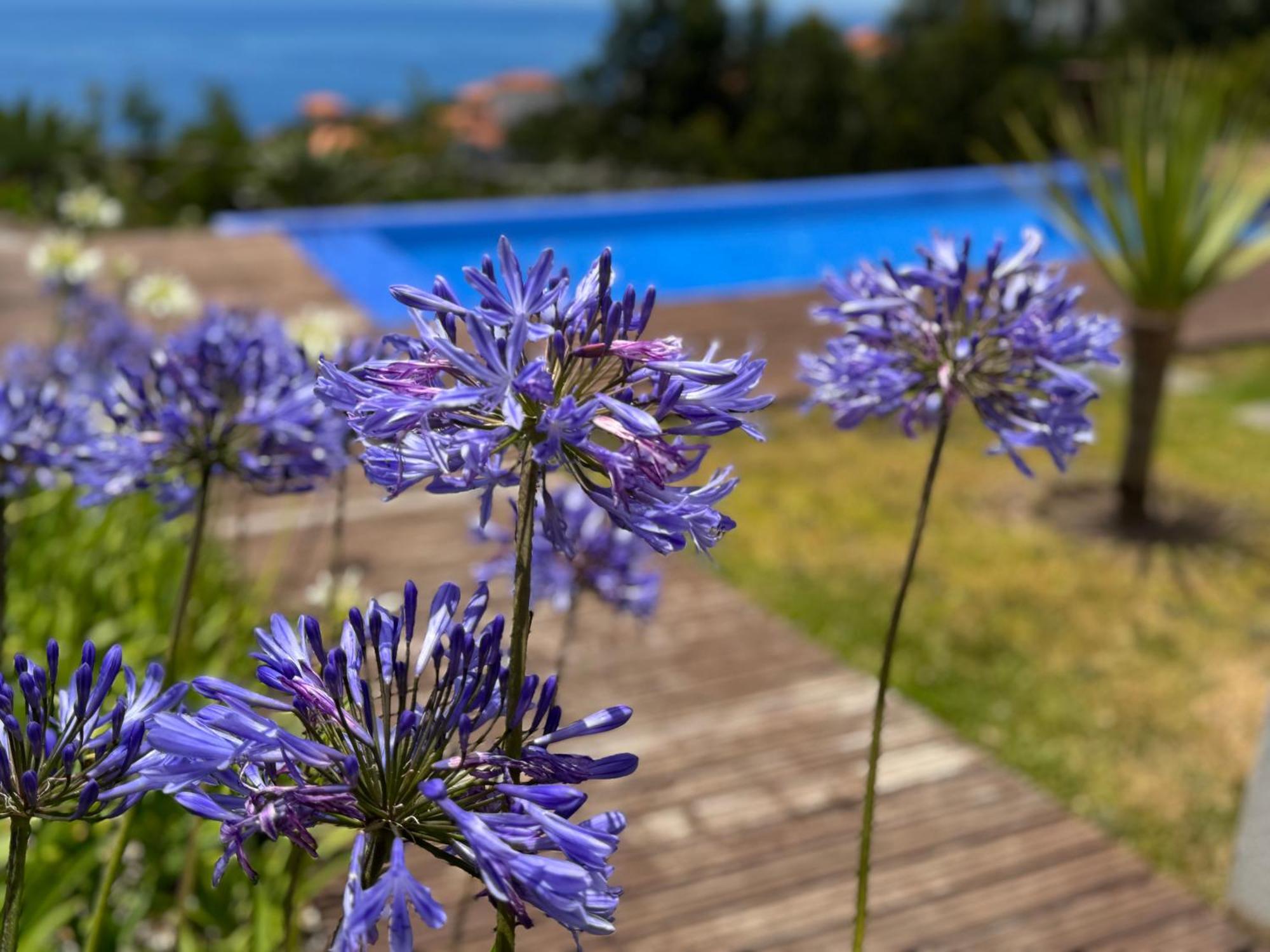Modular Calheta (Madeira) Exterior foto